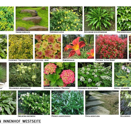 Großes Bild anzeigen