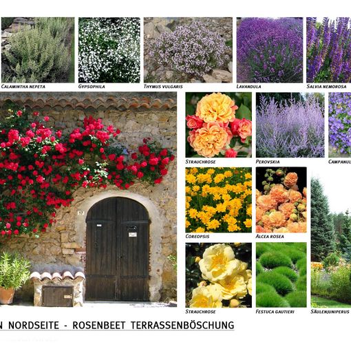 Großes Bild anzeigen