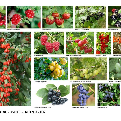 Großes Bild anzeigen