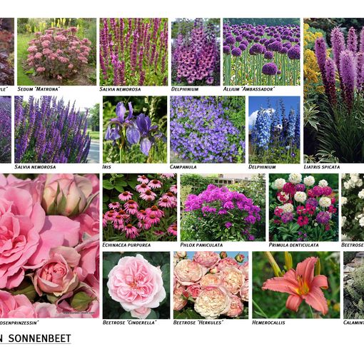 Großes Bild anzeigen